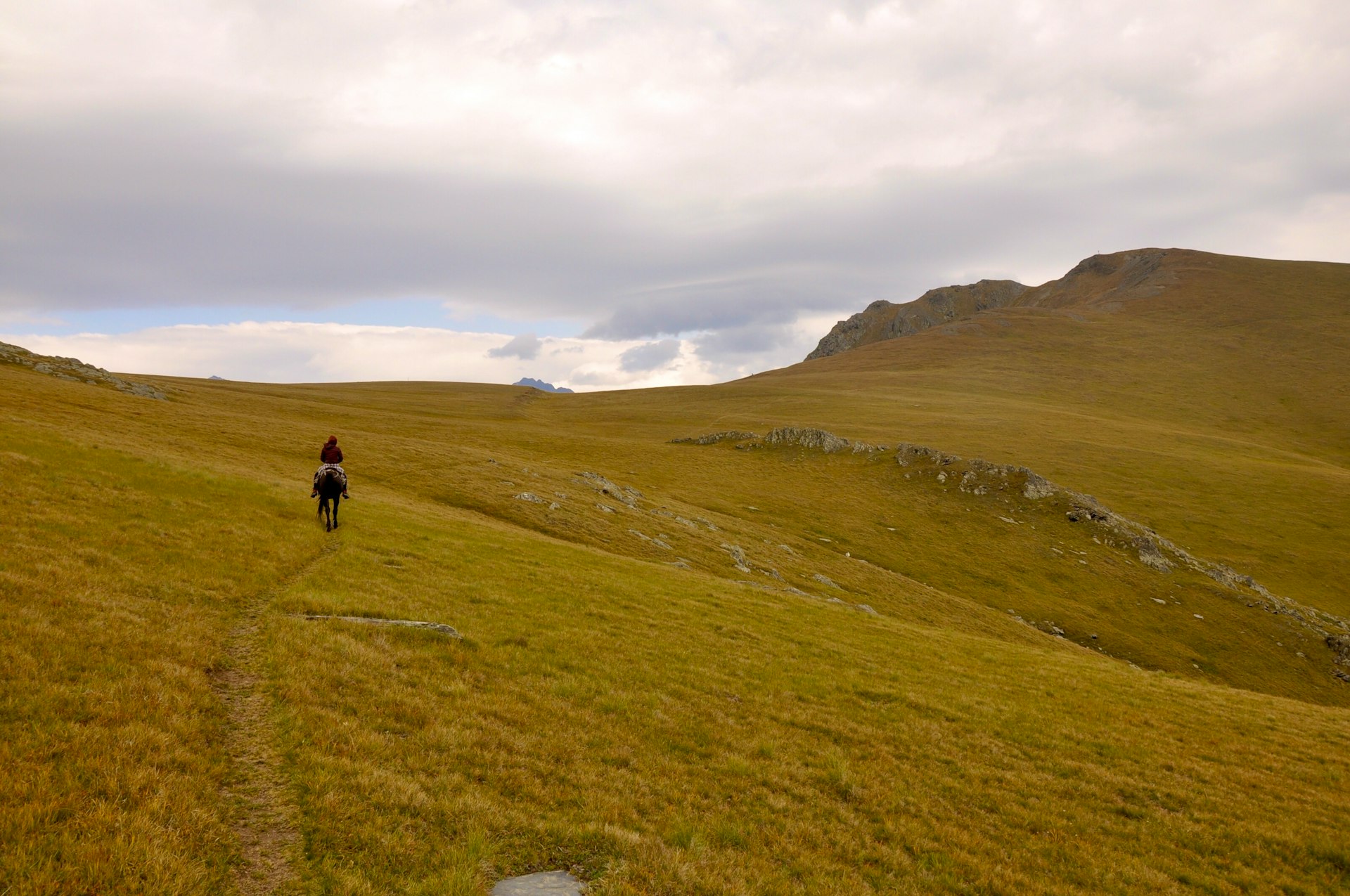 person walking on green grass field during daytime